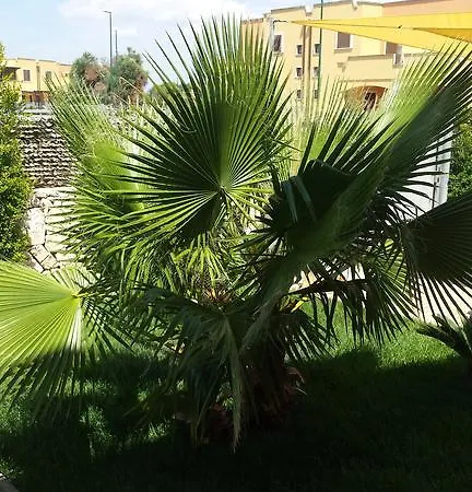 Noemi Holiday home